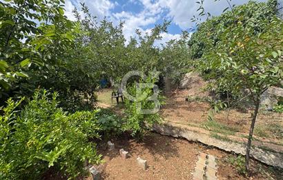ÇATALCA ÇANAKÇA SATILIK TAPUYA İŞLİ MÜSTAKİL EV
