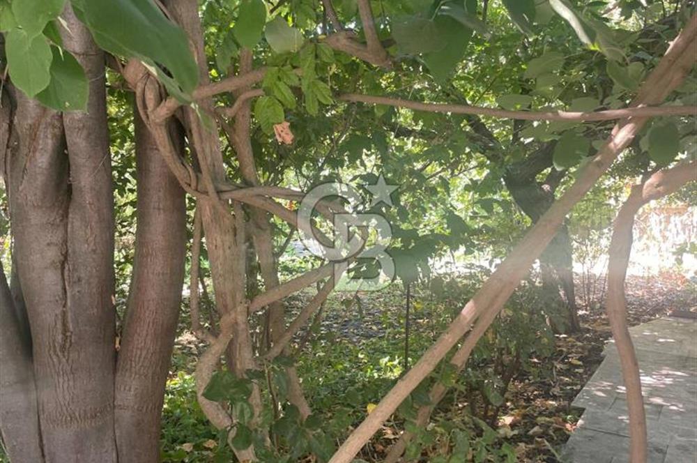 Kuşadası Kirazlı Köyü'nde 500 m² Arsalı, 6+2 Lüks Müstakil Ev