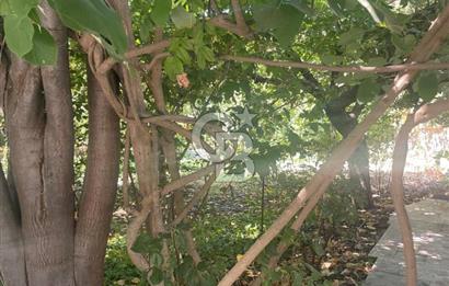 Kuşadası Kirazlı Köyü'nde 500 m² Arsalı, 6+2 Lüks Müstakil Ev