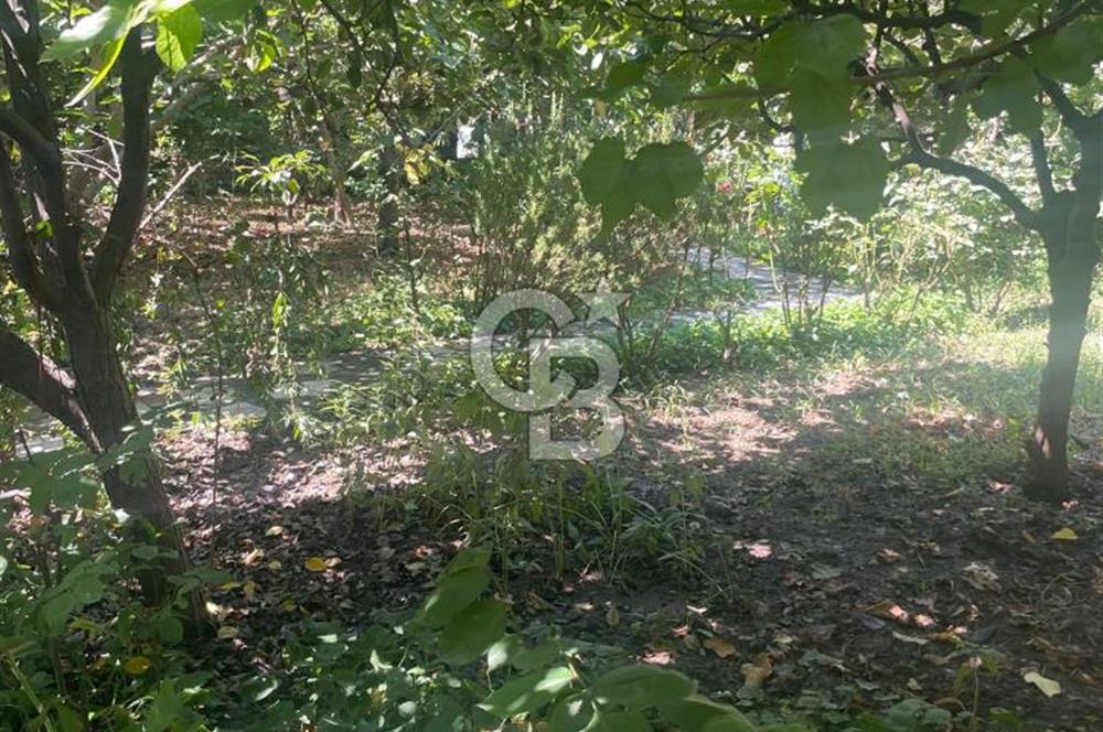 Kuşadası Kirazlı Köyü'nde 500 m² Arsalı, 6+2 Lüks Müstakil Ev