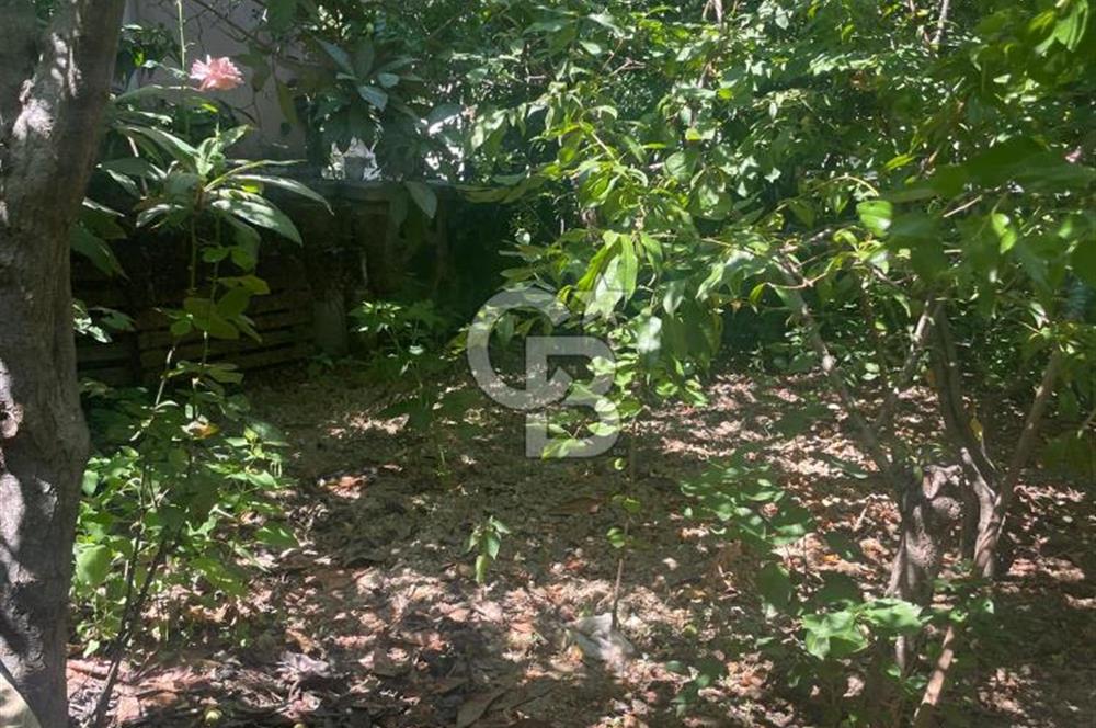 Kuşadası Kirazlı Köyü'nde 500 m² Arsalı, 6+2 Lüks Müstakil Ev