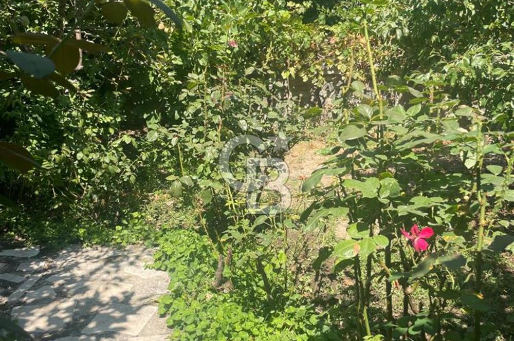 Kuşadası Kirazlı Köyü'nde 500 m² Arsalı, 6+2 Lüks Müstakil Ev