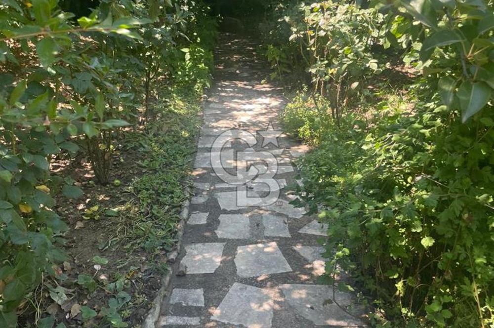 Kuşadası Kirazlı Köyü'nde 500 m² Arsalı, 6+2 Lüks Müstakil Ev