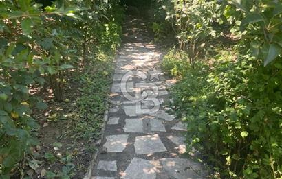 Kuşadası Kirazlı Köyü'nde 500 m² Arsalı, 6+2 Lüks Müstakil Ev