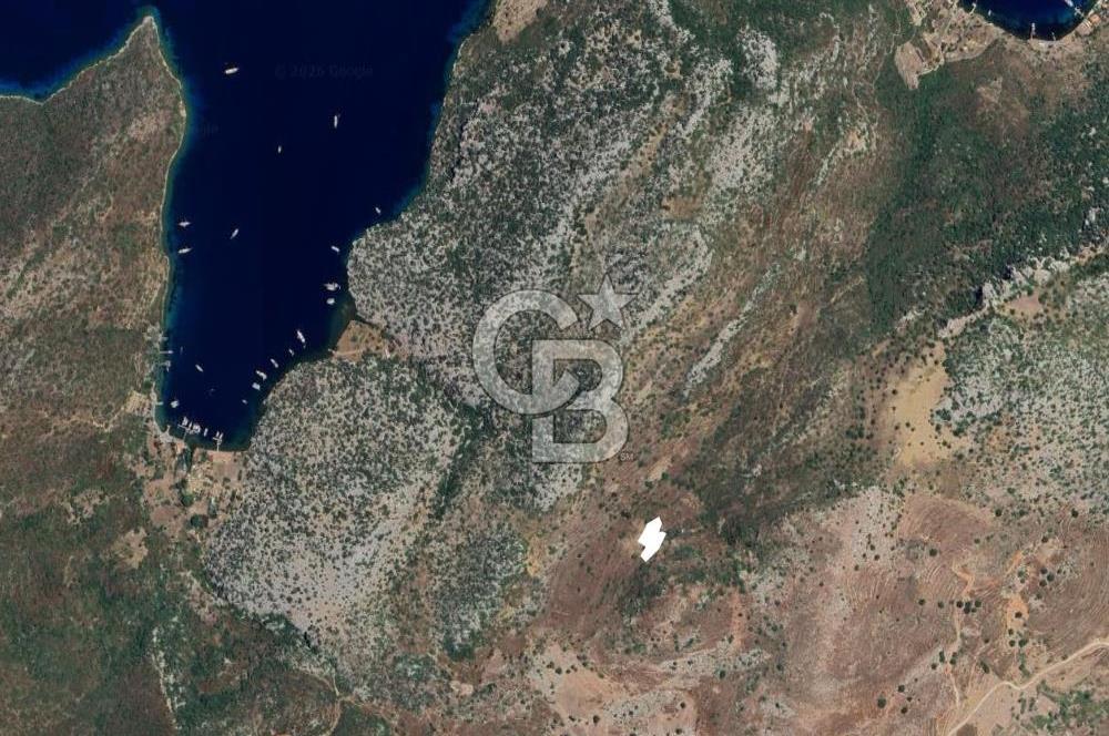 MUĞLA BOZBURUN ADASI TEK TAPU FIRSAT YATIRIM DENİZE 700 Metre