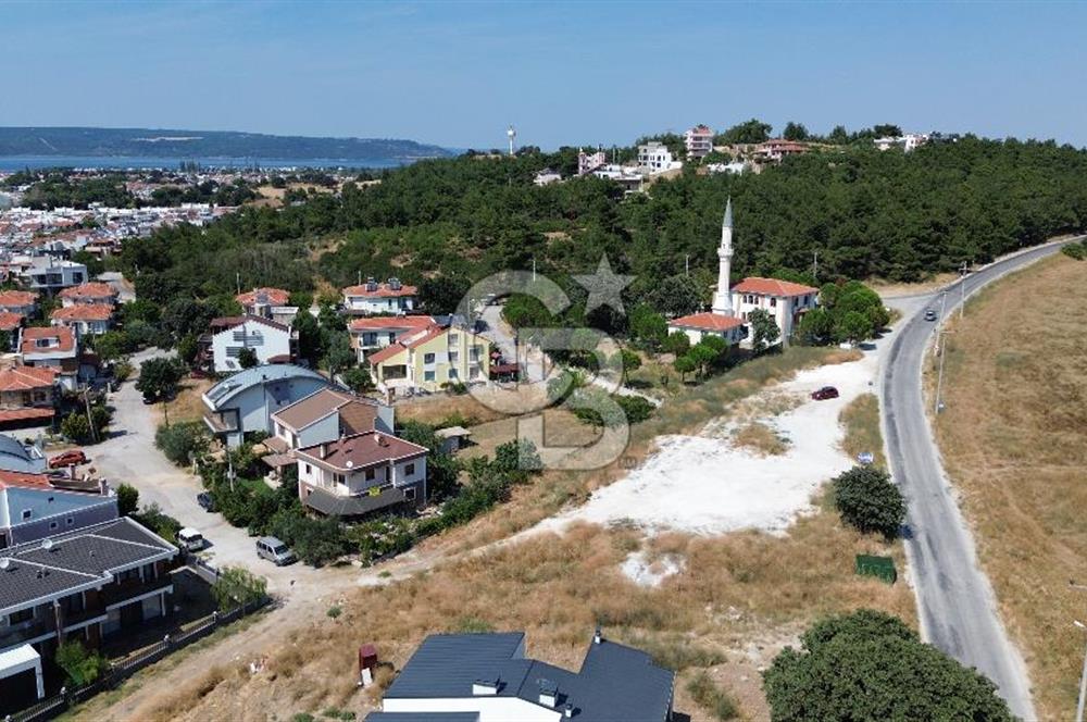 Dardanosta Asfaltyola Cepheli ; Yatırım ve Yaşam Fırsatı!