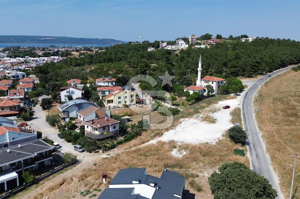 Dardanosta Asfaltyola Cepheli ; Yatırım ve Yaşam Fırsatı!