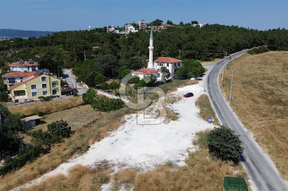 Dardanosta Asfaltyola Cepheli ; Yatırım ve Yaşam Fırsatı!