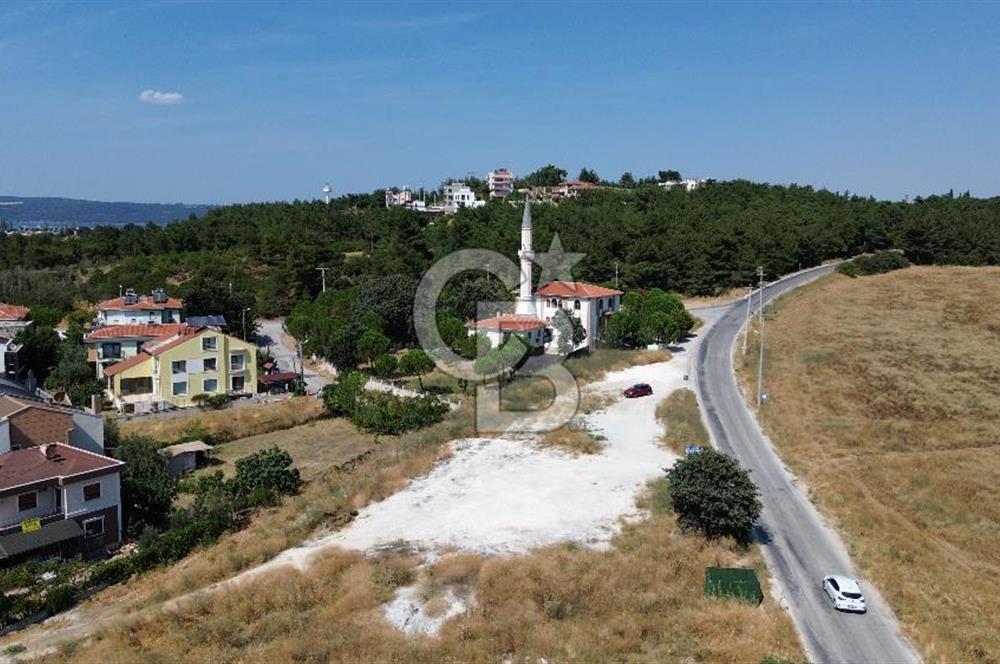 Dardanosta Asfaltyola Cepheli ; Yatırım ve Yaşam Fırsatı!