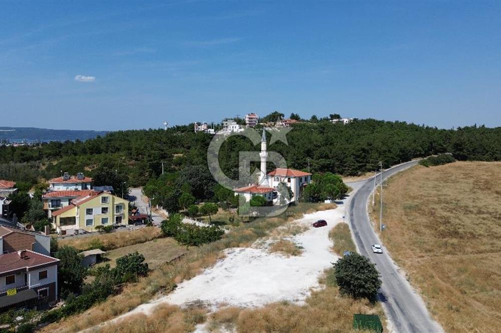 Dardanosta Asfaltyola Cepheli ; Yatırım ve Yaşam Fırsatı!