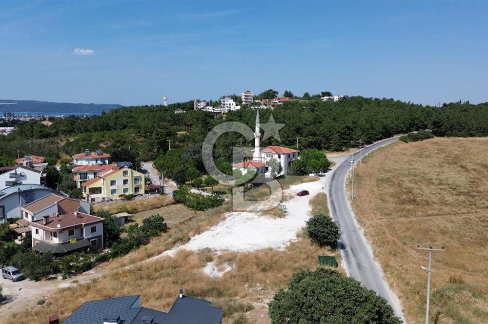 Dardanosta Asfaltyola Cepheli ; Yatırım ve Yaşam Fırsatı!