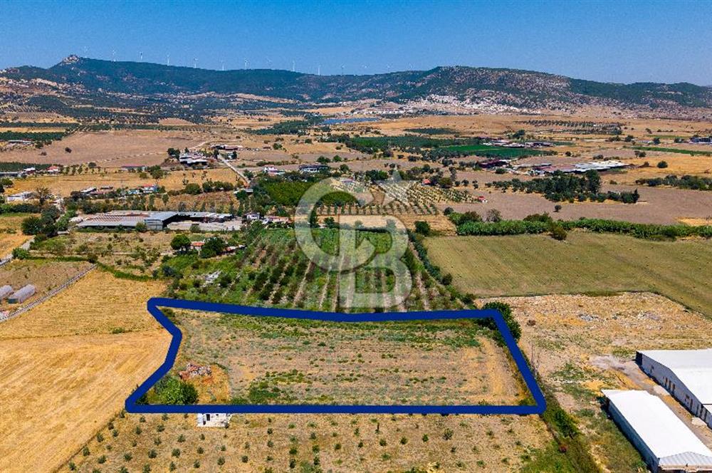 Foça Bağarası Hacıveli Mah. Satılık Tek Tapulu Tarla