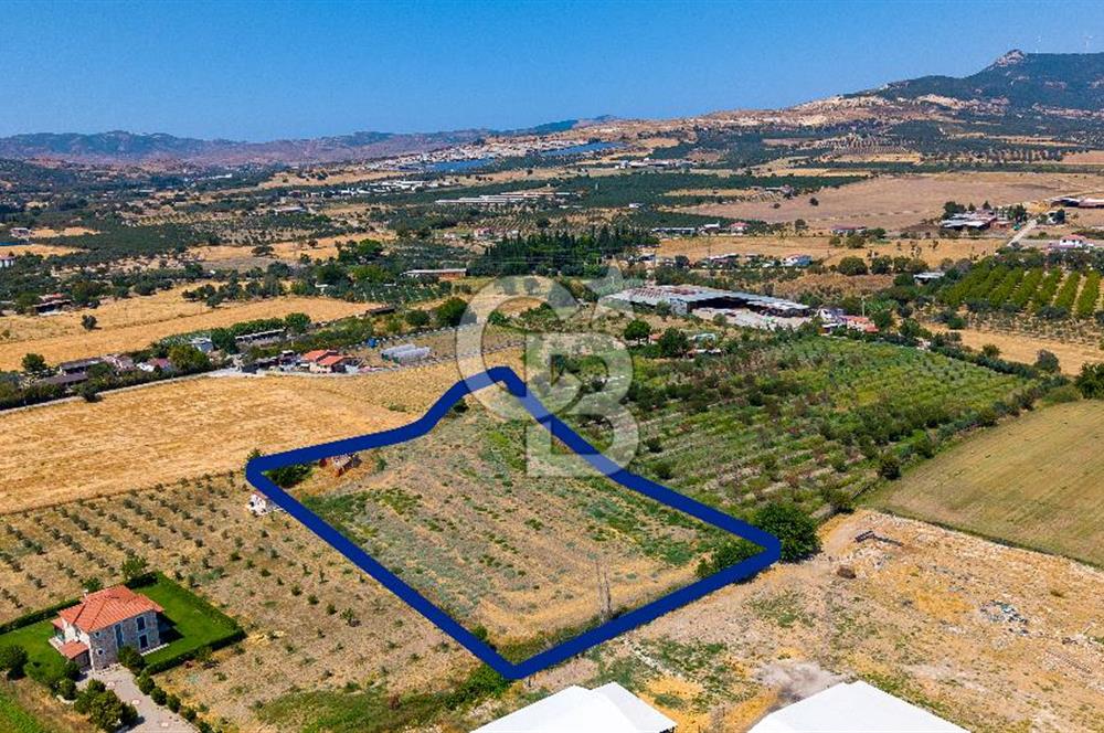 Foça Bağarası Hacıveli Mah. Satılık Tek Tapulu Tarla