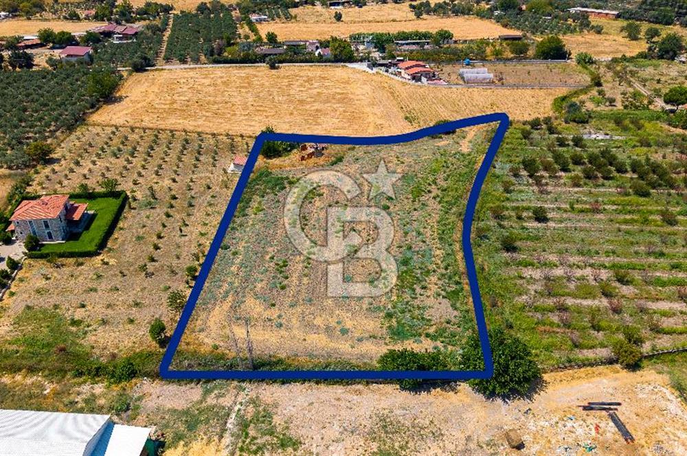 Foça Bağarası Hacıveli Mah. Satılık Tek Tapulu Tarla