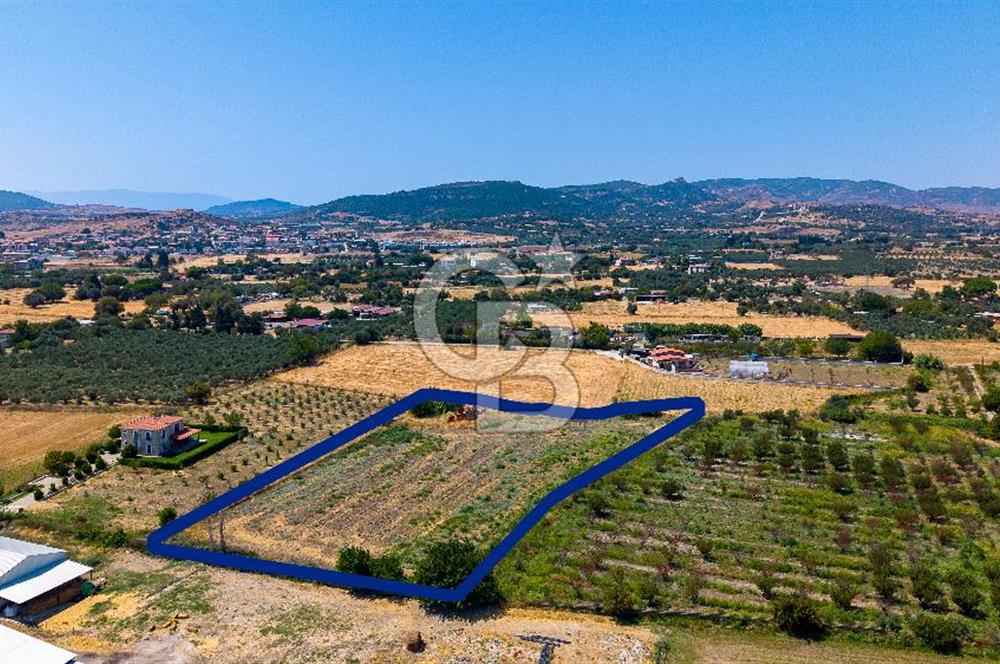 Foça Bağarası Hacıveli Mah. Satılık Tek Tapulu Tarla