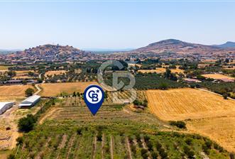 Foça Bağarası Hacıveli Mah. Satılık Tek Tapulu Tarla - 3 - 369563