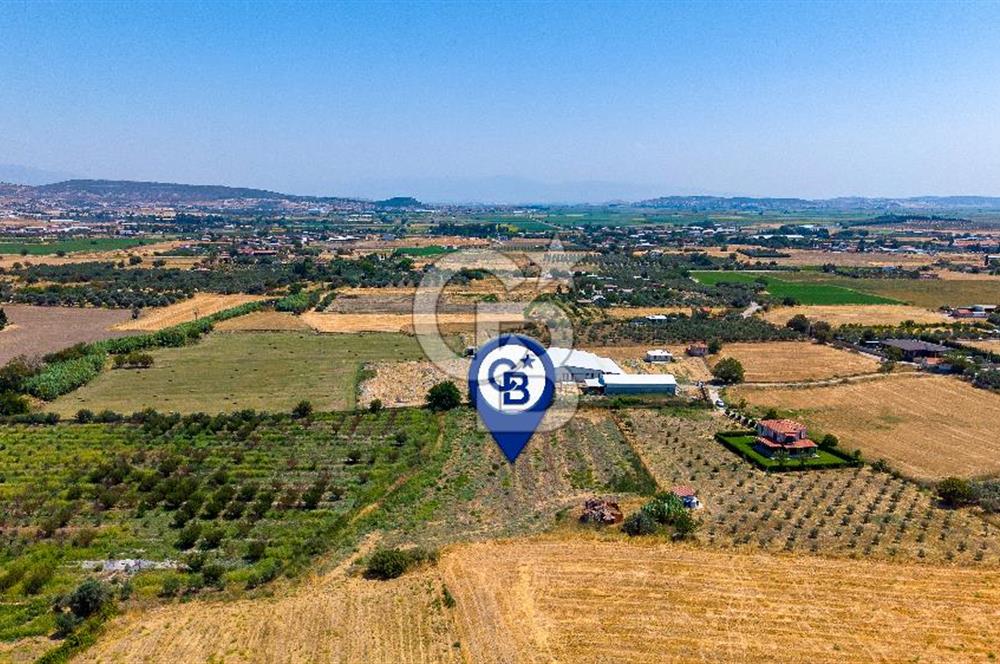 Foça Bağarası Hacıveli Mah. Satılık Tek Tapulu Tarla