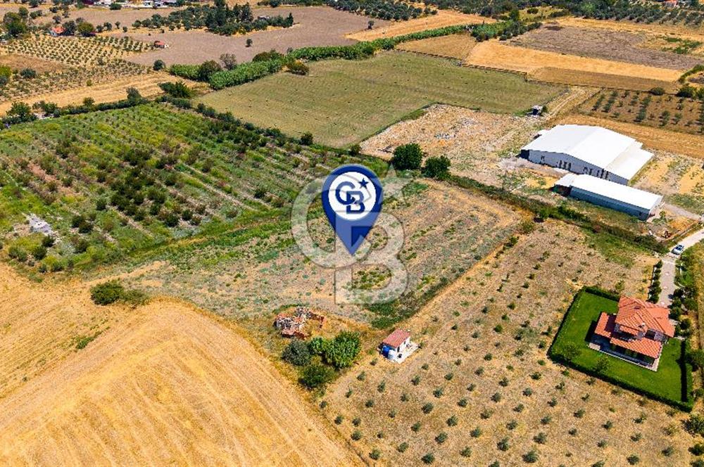 Foça Bağarası Hacıveli Mah. Satılık Tek Tapulu Tarla