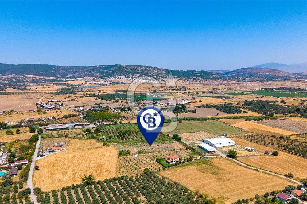Foça Bağarası Hacıveli Mah. Satılık Tek Tapulu Tarla