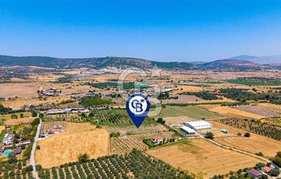 Foça Bağarası Hacıveli Mah. Satılık Tek Tapulu Tarla