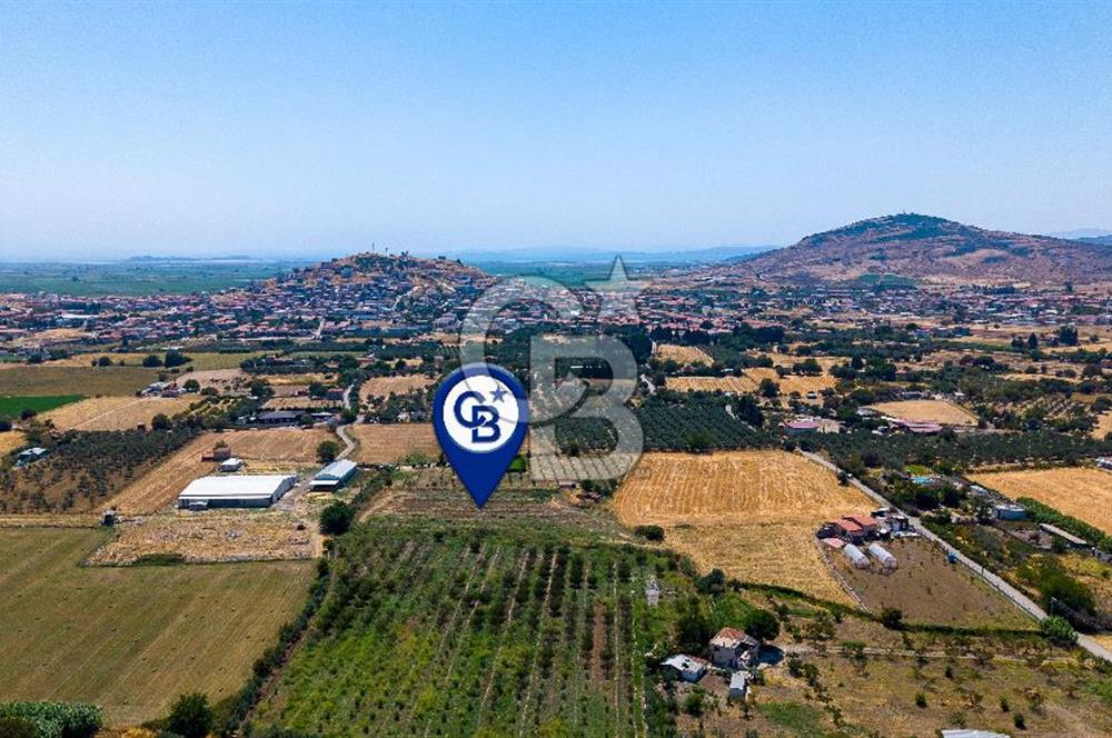 Foça Bağarası Hacıveli Mah. Satılık Tek Tapulu Tarla