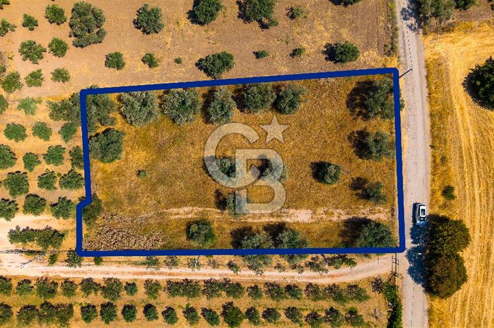 Foça Kocamehmetler'de Satılık Tek Tapulu Tarla