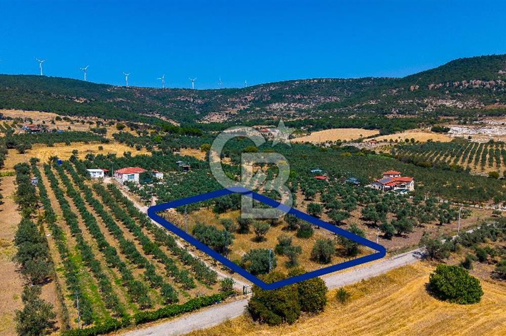 Foça Kocamehmetler'de Satılık Tek Tapulu Tarla