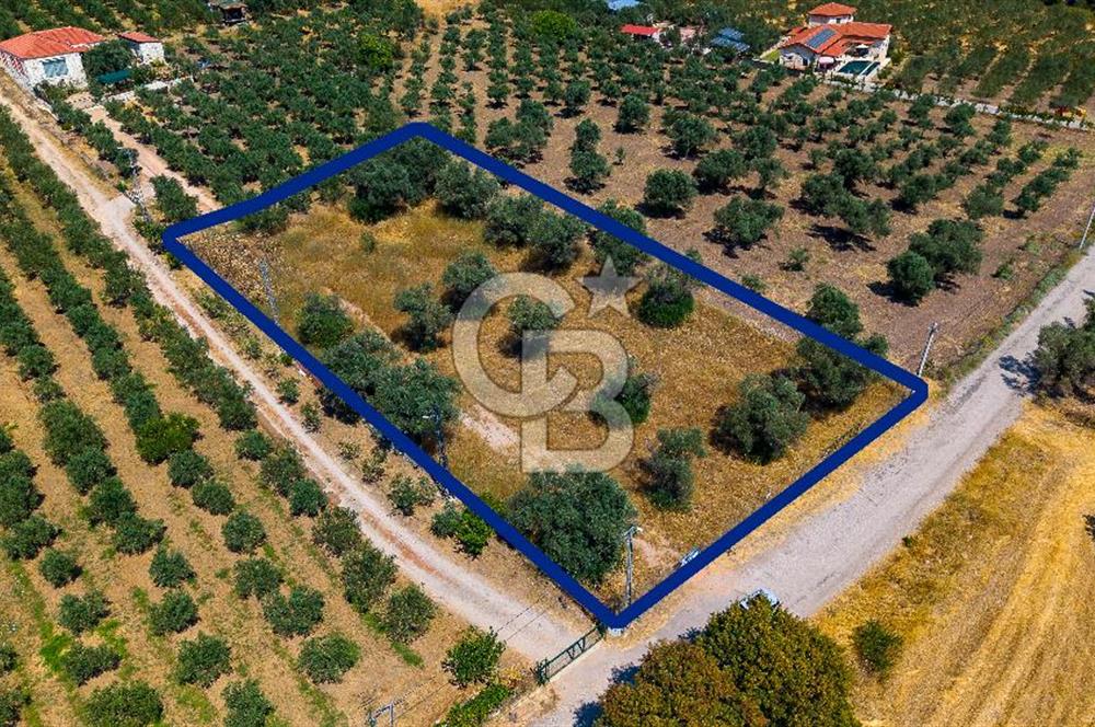 Foça Kocamehmetler'de Satılık Tek Tapulu Tarla