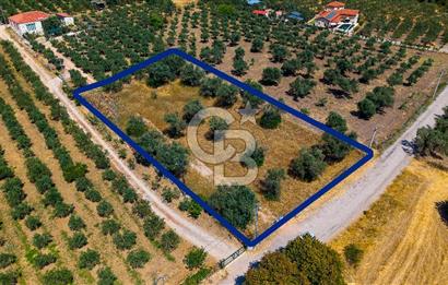 Foça Kocamehmetler'de Satılık Tek Tapulu Tarla
