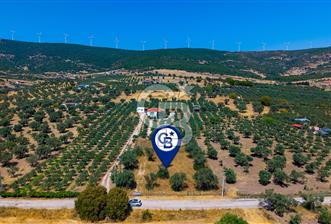 Foça Kocamehmetler'de Satılık Tek Tapulu Tarla - 2 - 369564