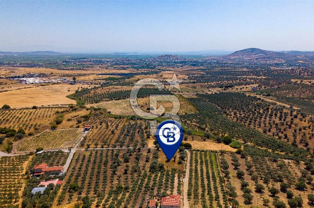Foça Kocamehmetler'de Satılık Tek Tapulu Tarla