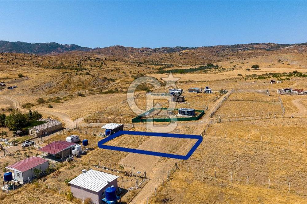 Yenifoça Fevzi Çakmak Mah. Satılık Hisseli Tarla