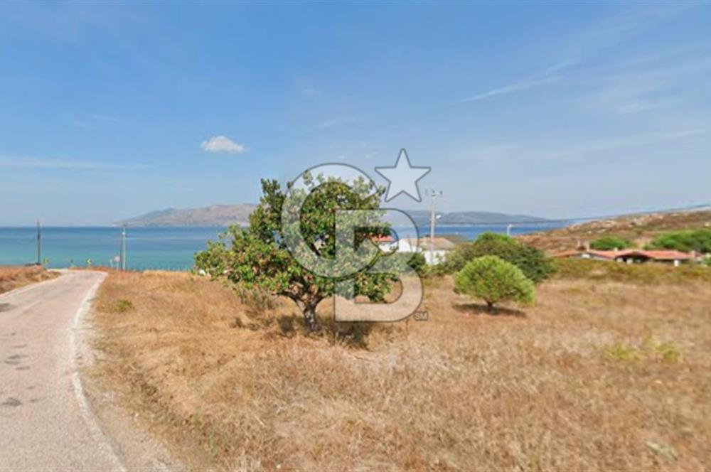 AVŞA ADASINDA DENİZE YAKIN 180m2 MUHTEŞEM KONUMLU VİLLA ARSASI