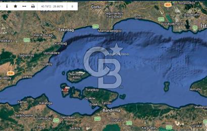 AVŞA ADASINDA DENİZE YAKIN 180m2 MUHTEŞEM KONUMLU VİLLA ARSASI