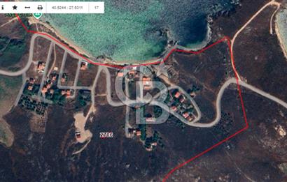 AVŞA ADASINDA DENİZE YAKIN 180m2 MUHTEŞEM KONUMLU VİLLA ARSASI