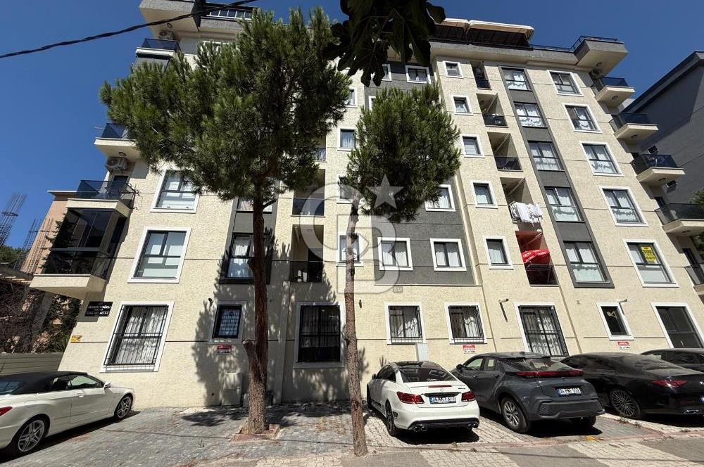 Maltepe Cevizli Mah 1+1 Kiralık Daire
