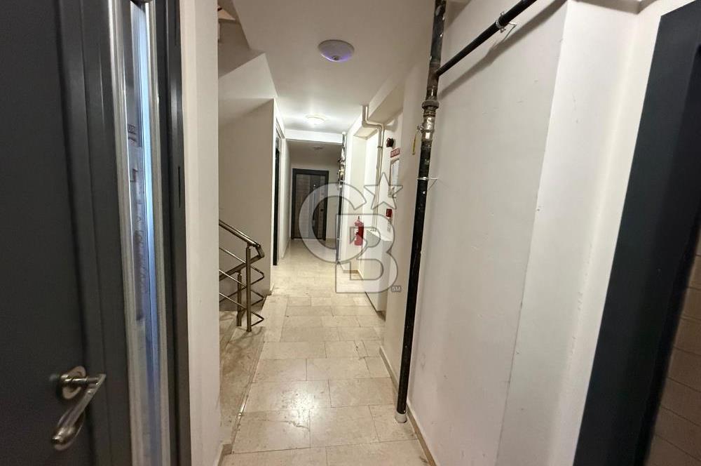 Maltepe Cevizli Mah 1+1 Kiralık Daire