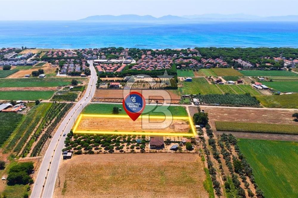 Ayvalık Altınova da Satılık Tarla