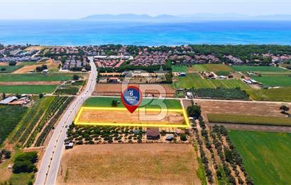 Ayvalık Altınova da Satılık Tarla