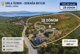Urla Özbek'te Deniz Manzaralı Satılık Zeytinlik - 8 - 369663