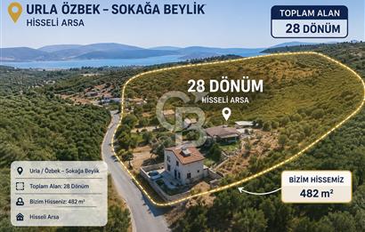 Urla Özbek'te Deniz Manzaralı Satılık Zeytinlik