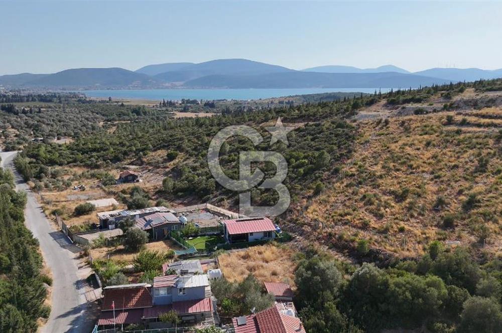 Urla Özbek'te Deniz Manzaralı Satılık Zeytinlik