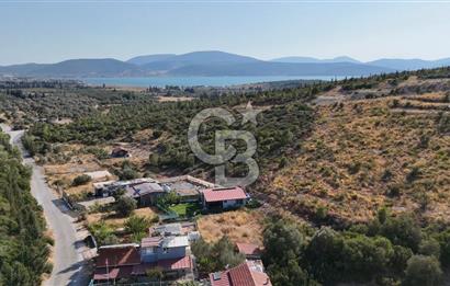 Urla Özbek'te Deniz Manzaralı Satılık Zeytinlik