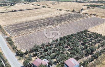 ALİAĞA HELVACI SATILIK 7.912 m2 ARSA FIRSATI