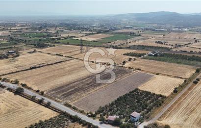 ALİAĞA HELVACI SATILIK 7.912 m2 ARSA FIRSATI