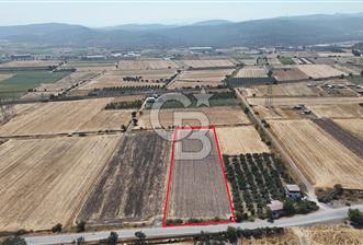 ALİAĞA HELVACI SATILIK 7.912 m2 ARSA FIRSATI - 9 - 369655