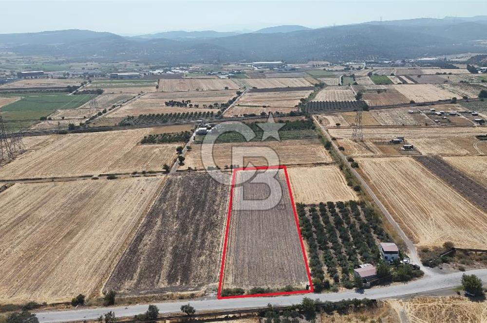 ALİAĞA HELVACI SATILIK 7.912 m2 ARSA FIRSATI