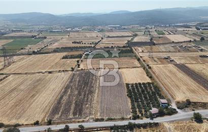 ALİAĞA HELVACI SATILIK 7.912 m2 ARSA FIRSATI