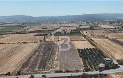 ALİAĞA HELVACI SATILIK 7.912 m2 ARSA FIRSATI