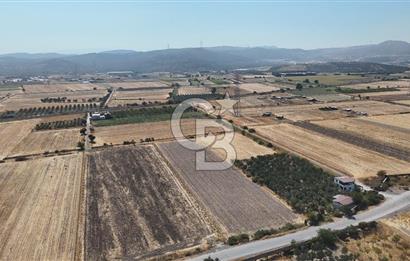 ALİAĞA HELVACI SATILIK 7.912 m2 ARSA FIRSATI